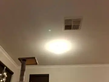 Chaturbate Adult Video Chat of daddibear666