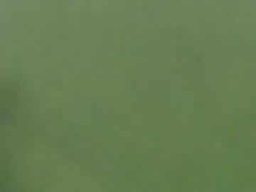 Chaturbate Sex Cam of _lilies_gigi_