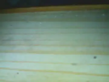 Chaturbate Free Live Porn of castells