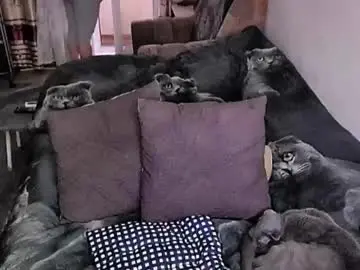 Chaturbate Live Sex of tviks