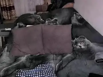 Chaturbate Free Porn Cam of tviks