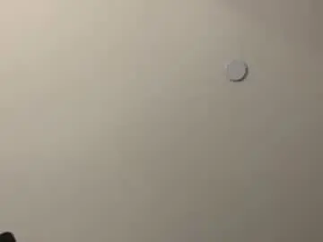 thebeejayshow from chaturbate