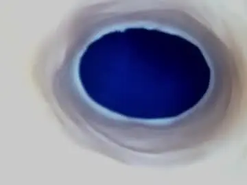 Chaturbate Live Sex of paulainoscente