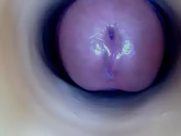 Chaturbate Adult Webcam of paulainoscente