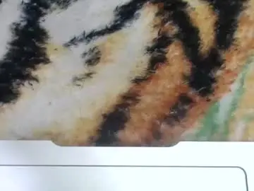 Chaturbate Live Sex of sarayx