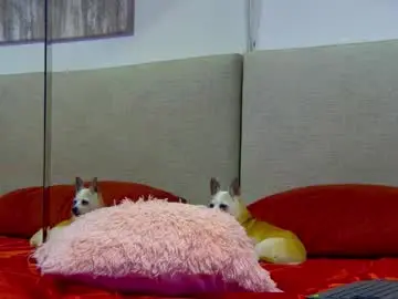 Chaturbate Adult Webcams of mickeyshyne69