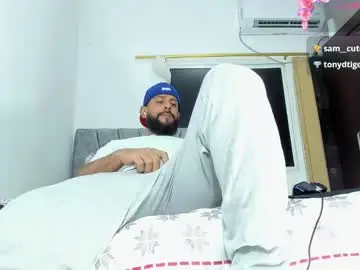 Chaturbate Best Webcam of dcollins_