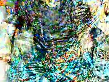 Chaturbate Sex Chat of microfama00