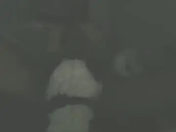 Chaturbate Adult Webcam of leinad422