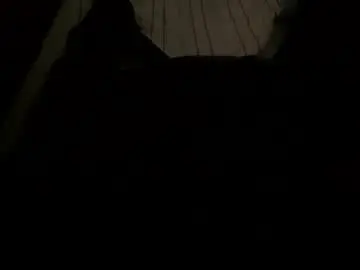 Chaturbate Sex Cam of ynno31