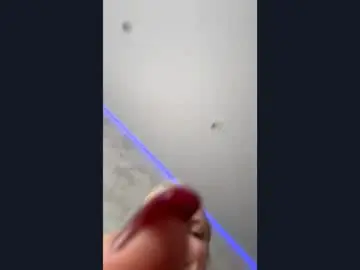 Chaturbate Live Sex Cam of kerryrusell