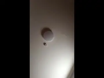 Chaturbate Live Porn of mor1tzkos