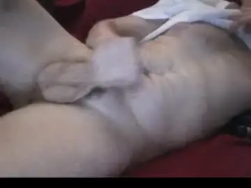 Chaturbate Live Porn of pityboycock