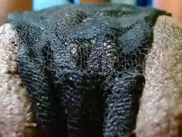 Chaturbate Private Sex Chat of bethanywilsom