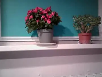 Chaturbate Best live sex cam show of nadjia_sexy