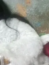 Dscgirls Adult Webcams of HOT_RESHMA