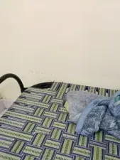 Dscgirls Adult Video Chat of Karina