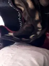 Dscgirls Watch Live Sex Cams of Shilpi