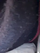 Dscgirls Live Porn of Shilpi