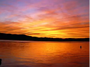 Imlive Best live sex cam show of CustomerService