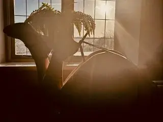 KatieCarterX from streamate