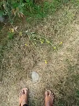 Ragnorok01 from stripchat