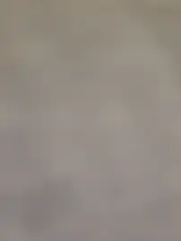 Stripchat Watch Live Sex Cams of bigdeal698