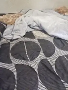 Stripchat Free Porn Cam of Rural3