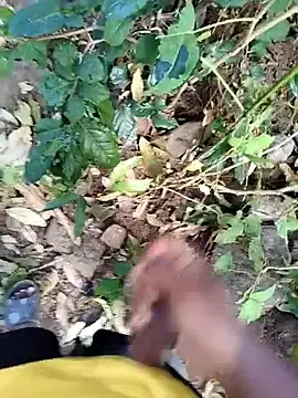 Stripchat Free Porn Cam of desi_alpha_boy