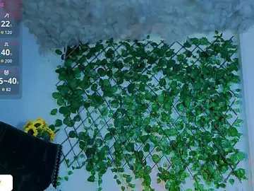 Stripchat Adult Video Chat of Levii_Ackermann