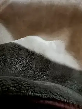 Stripchat Sex Chat of Deluxe_dick