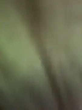 Stripchat Live Porn of FroggyAnna