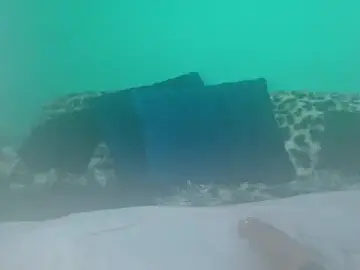 Stripchat Best live sex cam show of avaleri_cherry