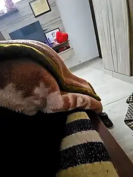 Stripchat Live Sex of Thestraightmen