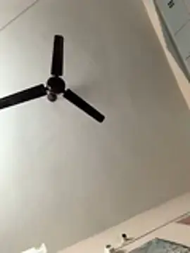 Stripchat Best live sex cam show of Rocky_1907