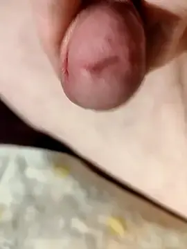 Stripchat Free Live Porn of --Serhei--