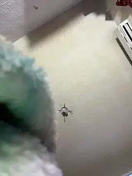 Stripchat Best live sex cam show of Chulo2026