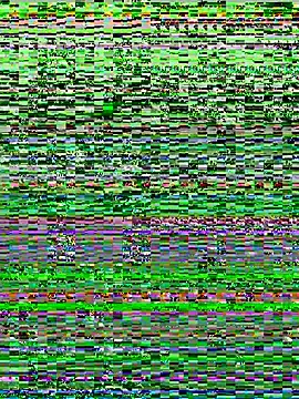 Stripchat Nude Webcam of the_master_foal_