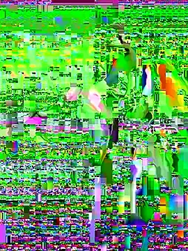 Stripchat Private Sex Chat of SophiiaStarr