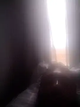 Stripchat Live Sex of teumachinho