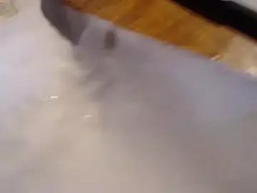 Stripchat Live Porn of geree84