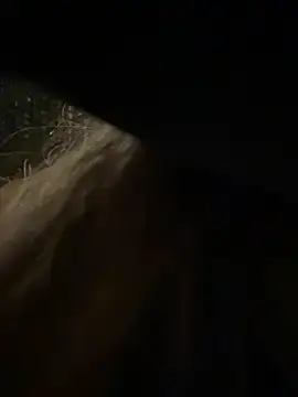 Stripchat Adult Webcams of AngelinaTeller