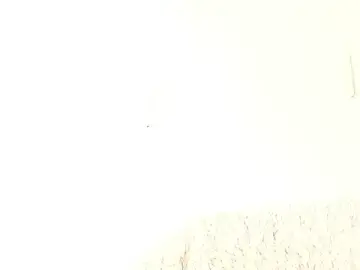 Stripchat Private Sex Chat of aidaadams