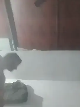 Stripchat Best Webcam of gawwalibhabhi_24