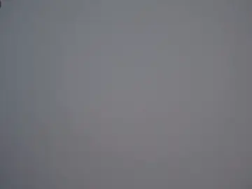 Stripchat Best Webcam of LorrieWilcinski