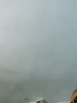 Stripchat Nude Webcam of Sania-Love