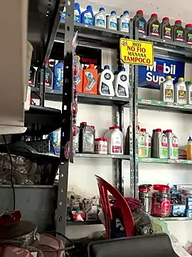 Stripchat Live Sex Cam of Paul22cm-