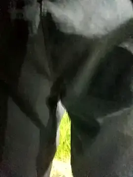 Stripchat Free Porn Cam of HS-hotsmile