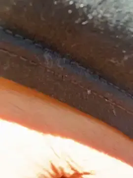 Stripchat Sex Cam of Bigbuttbrooklynn