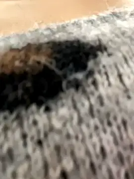 Best_love66 from stripchat